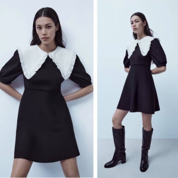 Zara Peter Pan Collar Knit Dress Size Small - Picture 1 of 5